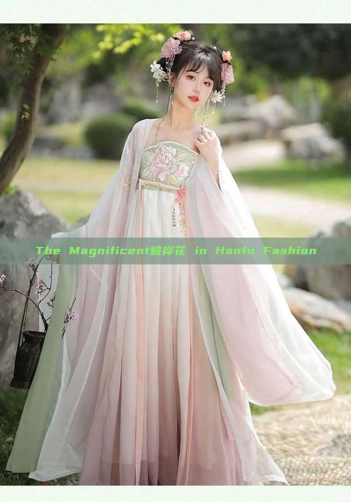 The Magnificent彼岸花 in Hanfu Fashion The Magnificent彼岸花 in Hanfu Fashion