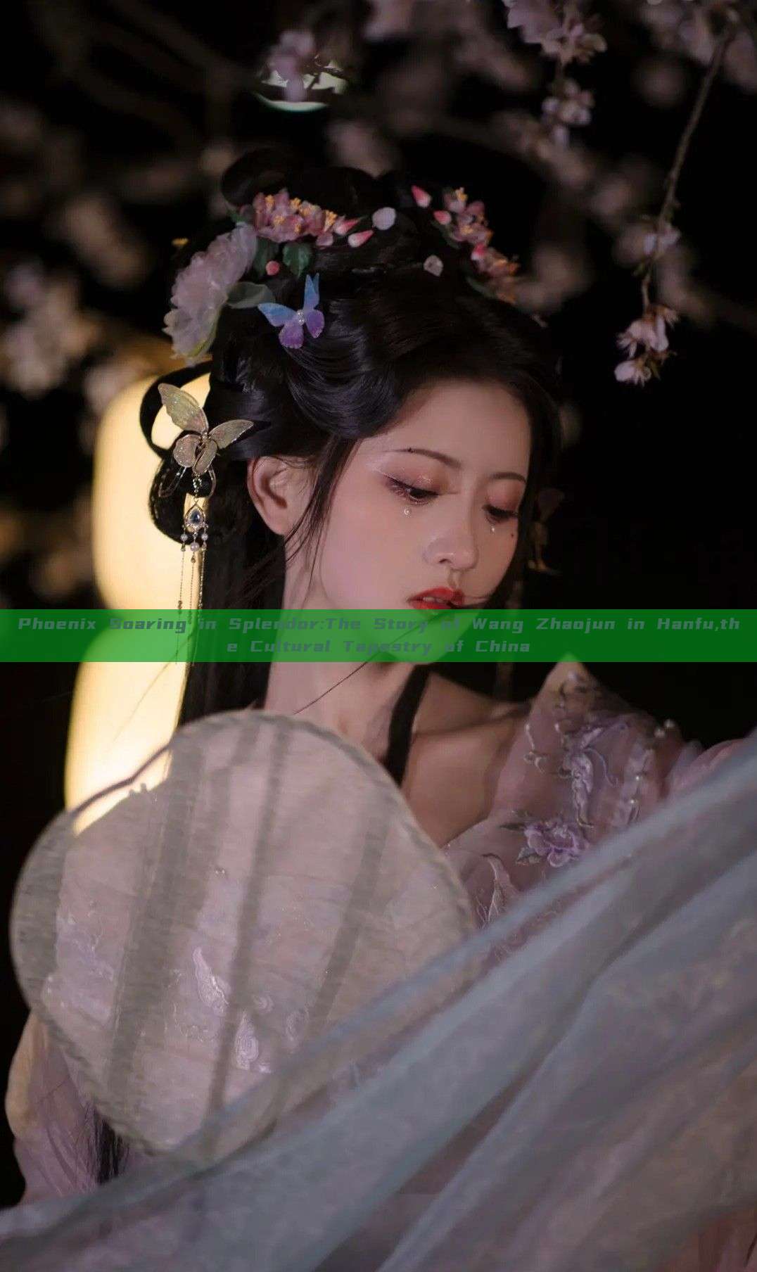 Phoenix Soaring in Splendor:The Story of Wang Zhaojun in Hanfu,the Cultural Tapestry of China Phoenix Soaring in Splendor:The Story of Wang Zhaojun in Hanfu,the Cultural Tapestry of China