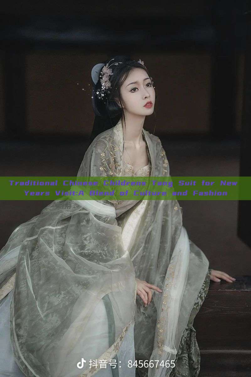 Traditional Chinese Childrens Tang Suit for New Years Visit:A Blend of Culture and Fashion Traditional Chinese Childrens Tang Suit for New Years Visit:A Blend of Culture and Fashion