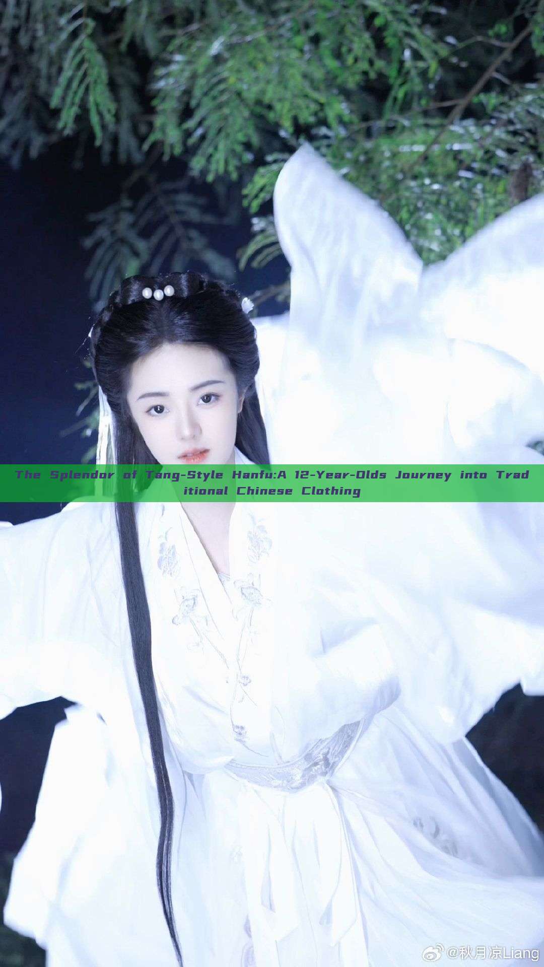 The Splendor of Tang-Style Hanfu:A 12-Year-Olds Journey into Traditional Chinese Clothing The Splendor of Tang-Style Hanfu:A 12-Year-Olds Journey into Traditional Chinese Clothing