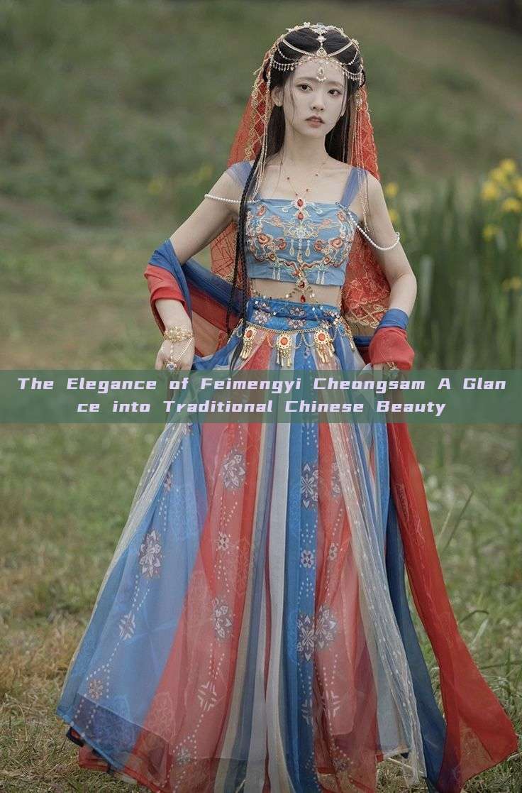 The Elegance of Feimengyi Cheongsam A Glance into Traditional Chinese Beauty