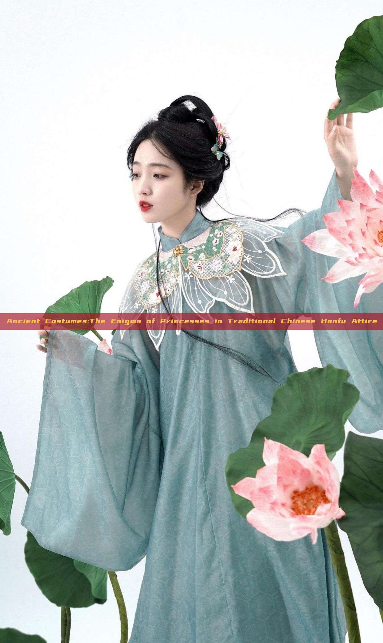 Ancient Costumes:The Enigma of Princesses in Traditional Chinese Hanfu Attire Ancient Costumes:The Enigma of Princesses in Traditional Chinese Hanfu Attire
