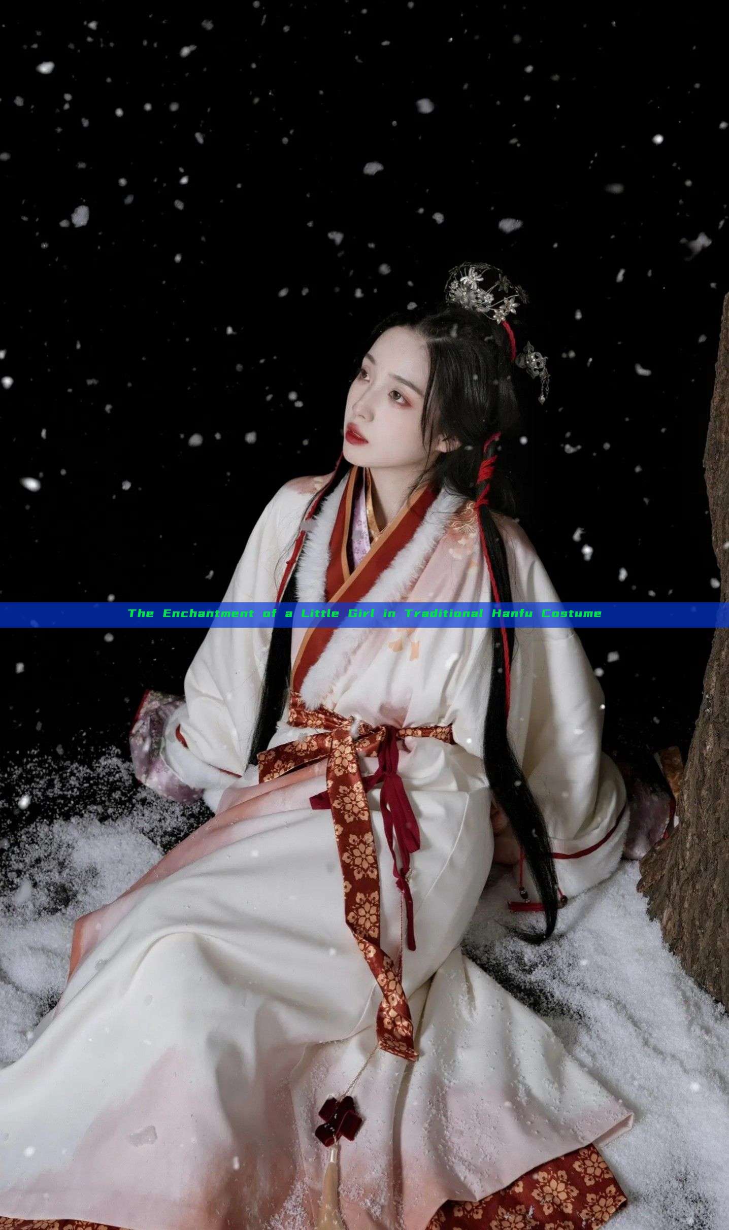 The Enchantment of a Little Girl in Traditional Hanfu Costume The Enchantment of a Little Girl in Traditional Hanfu Costume