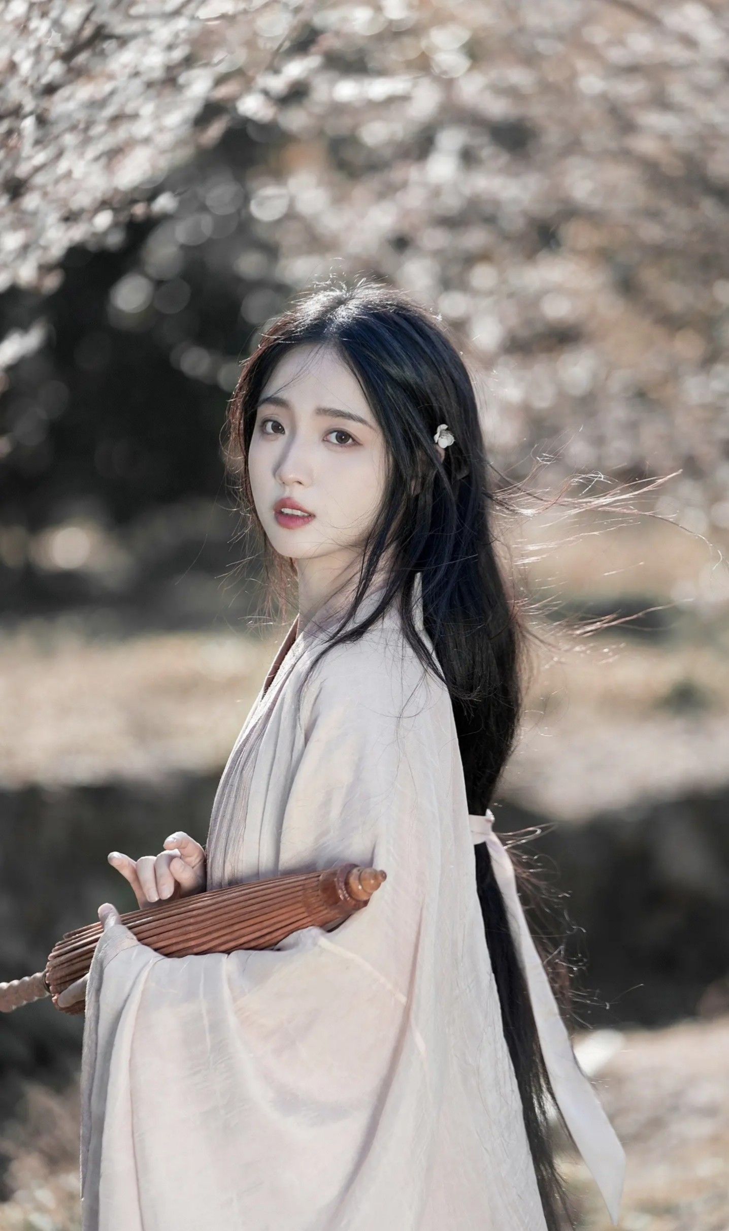 Revival of Immortal Fashion:Plus-Size Hanfu Clothing Reimagined Revival of Immortal Fashion:Plus-Size Hanfu Clothing Reimagined