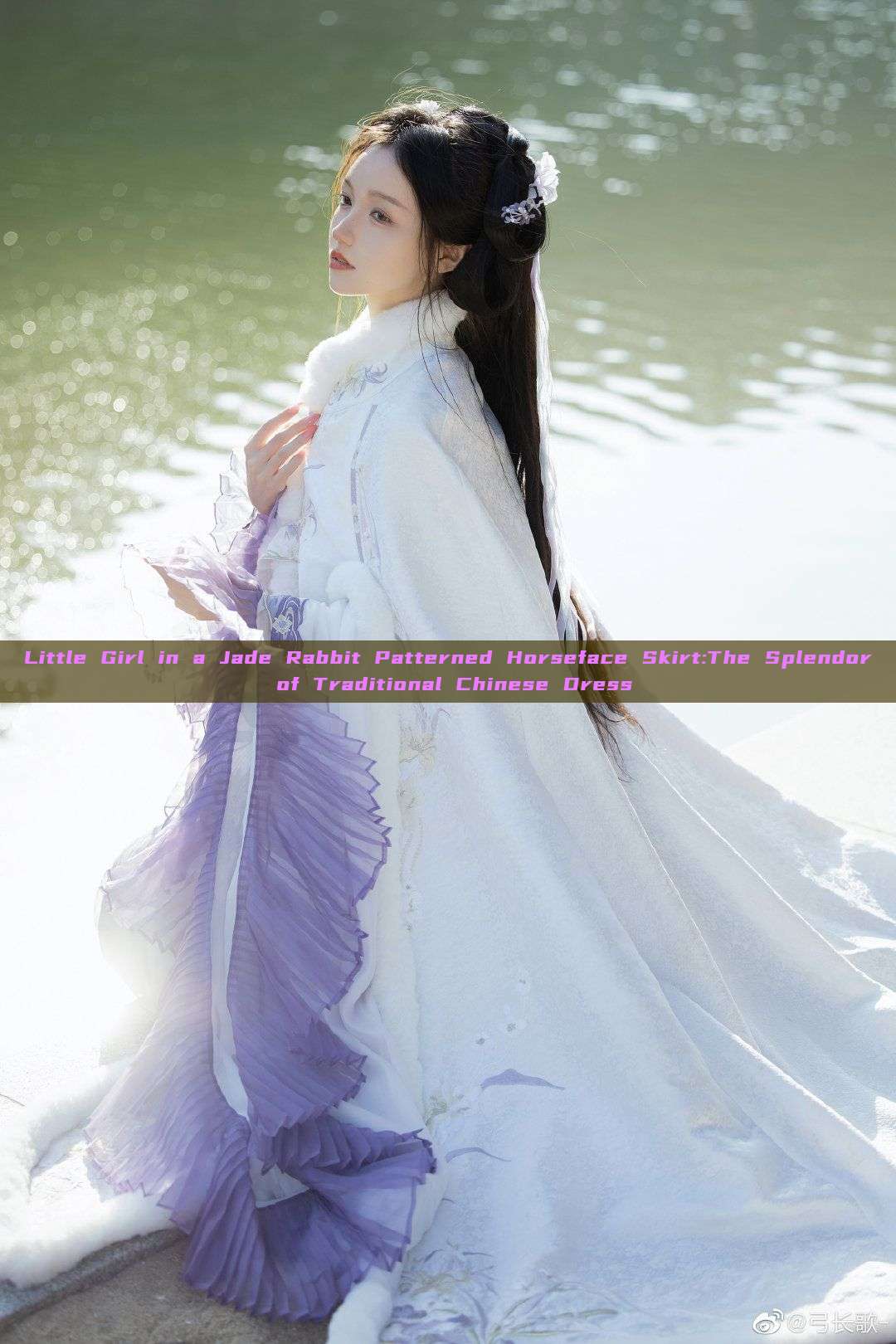 Little Girl in a Jade Rabbit Patterned Horseface Skirt:The Splendor of Traditional Chinese Dress Little Girl in a Jade Rabbit Patterned Horseface Skirt:The Splendor of Traditional Chinese Dress