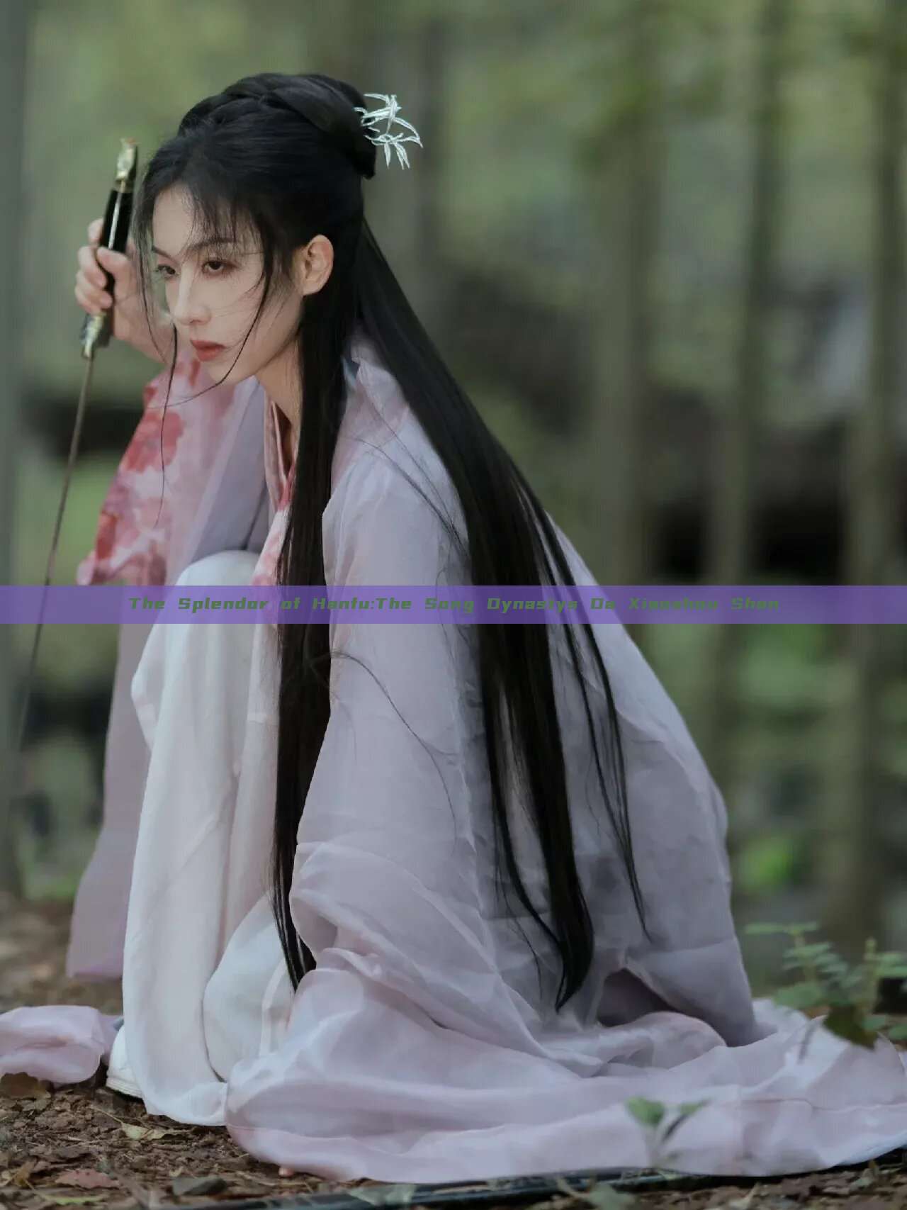 The Splendor of Hanfu:The Song Dynastys Da Xiaoshou Shan The Splendor of Hanfu:The Song Dynastys Da Xiaoshou Shan
